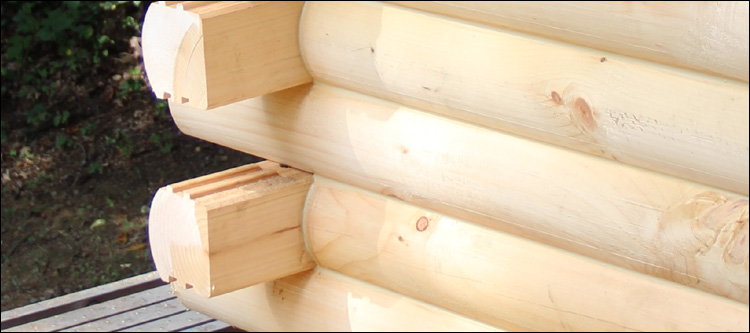 Log Home Damage Repair  Sandy Level, Virginia