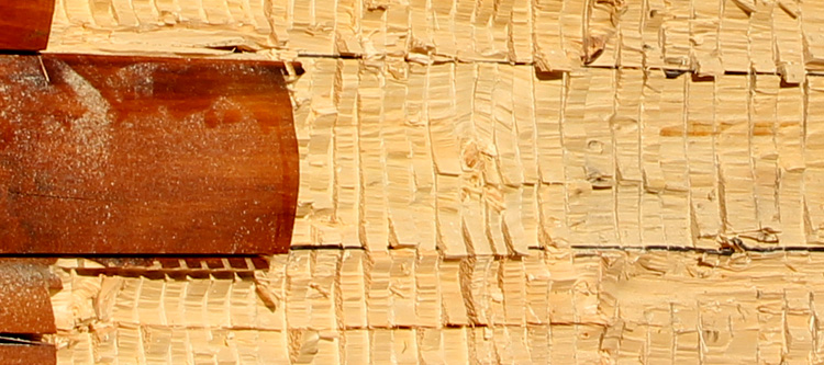 Log Home Face Restoration  Sandy Level, Virginia