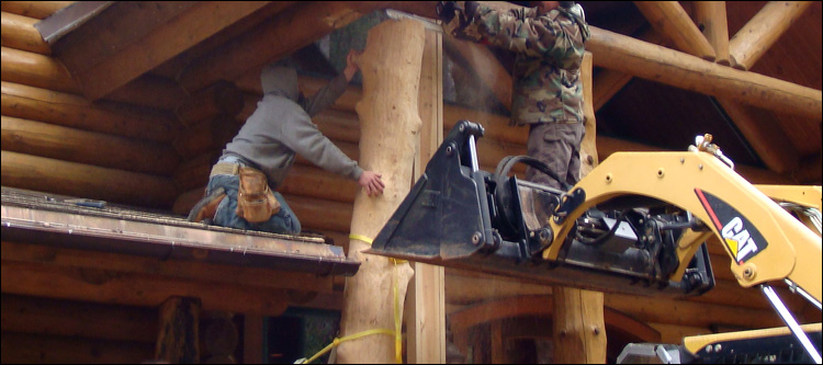Log Home Log Replacement  Sandy Level, Virginia